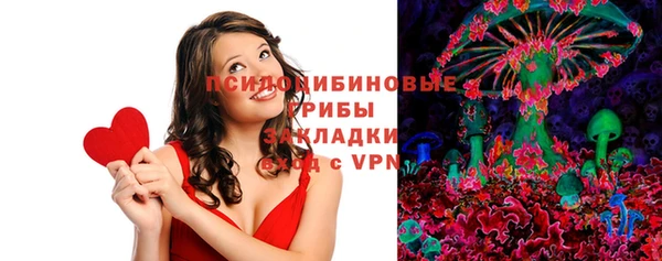амф Алексин