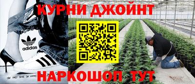 ГАЛЛЮЦИНОГЕННЫЕ ГРИБЫ Изобильный