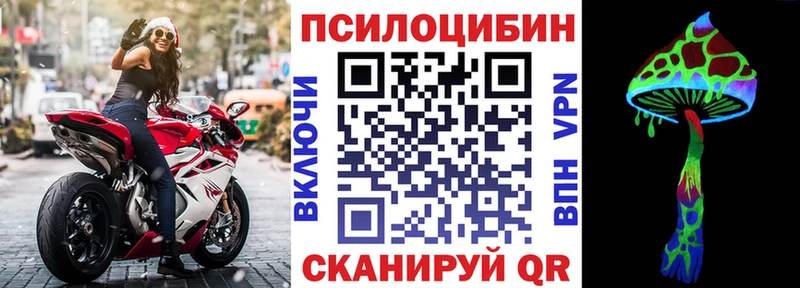 Галлюциногенные грибы Cubensis  закладка  Тулун 