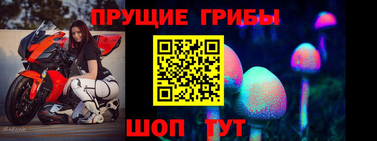 Псилоцибиновые грибы ЛСД  Галлюциногенные грибы GOLDEN TEACHER  Вход с VPN  Тулун 